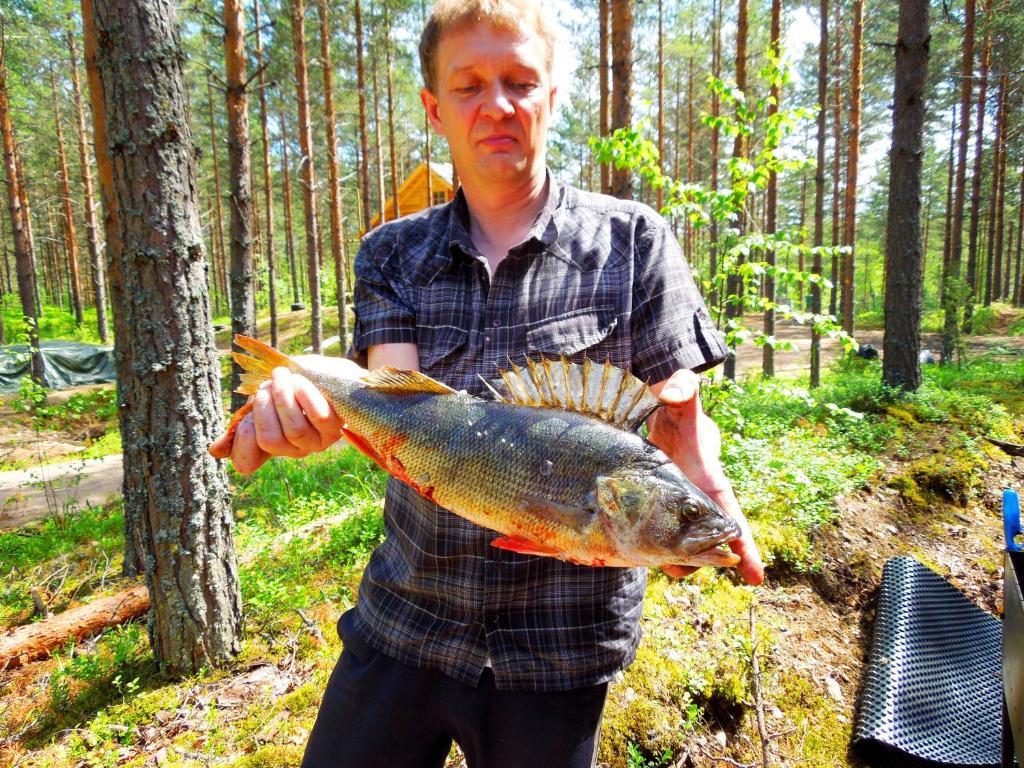 Kettu Holl Cottage Taipalsaari Eksteriør billede